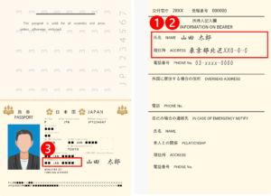 イツキ光 | 株式会社ITSUKI